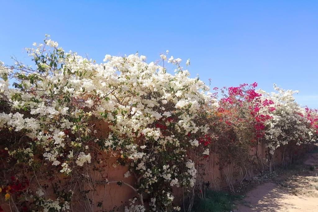 Villa Agora, Villa A La Campagne Proche Marrakech Sidi Abdallah Ghiat エクステリア 写真