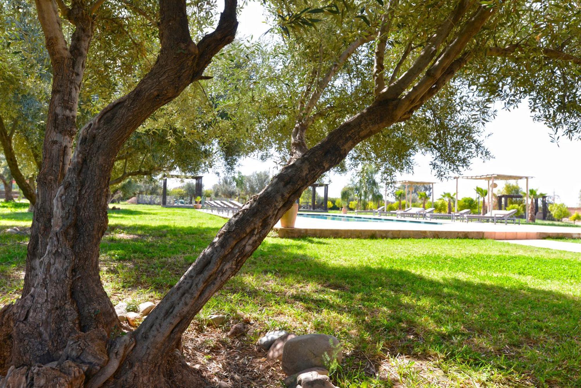 Villa Agora, Villa A La Campagne Proche Marrakech Sidi Abdallah Ghiat エクステリア 写真